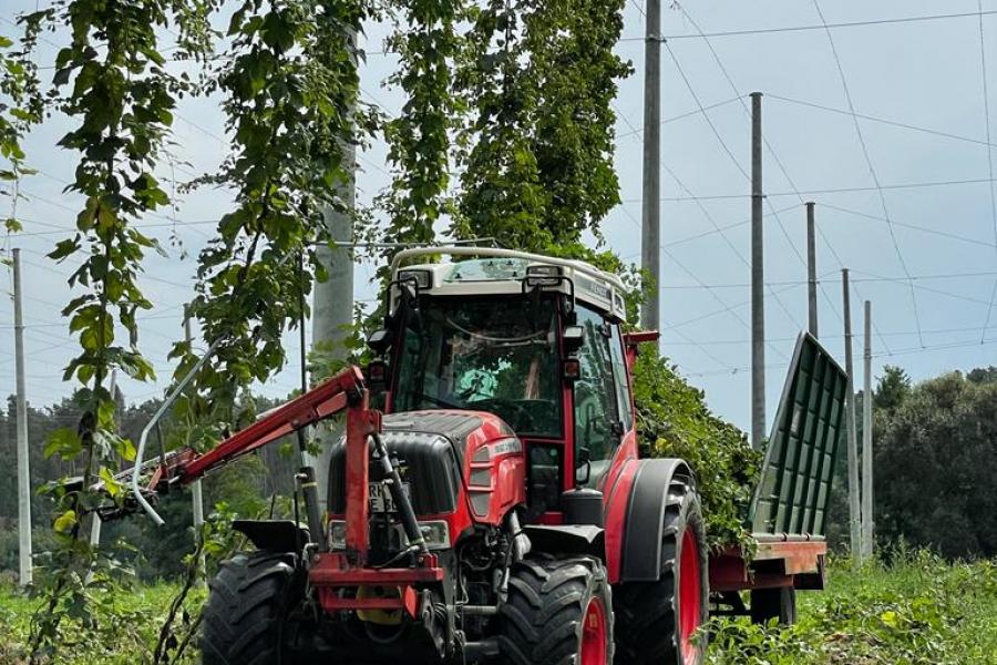 Besuchen Sie uns während der Ernte